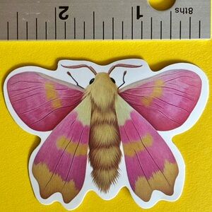 10/$10 Butterfly Aesthetic Vinyl Sticker -Waterproof Water Bottle Laptop Craft